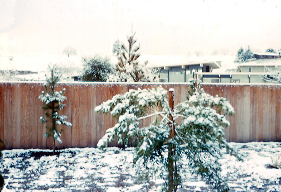 Box22 031 716 snow scene 1-21-62